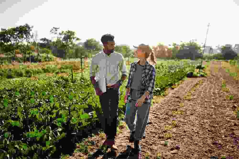 Herbal Medicine Haile - Natural Health