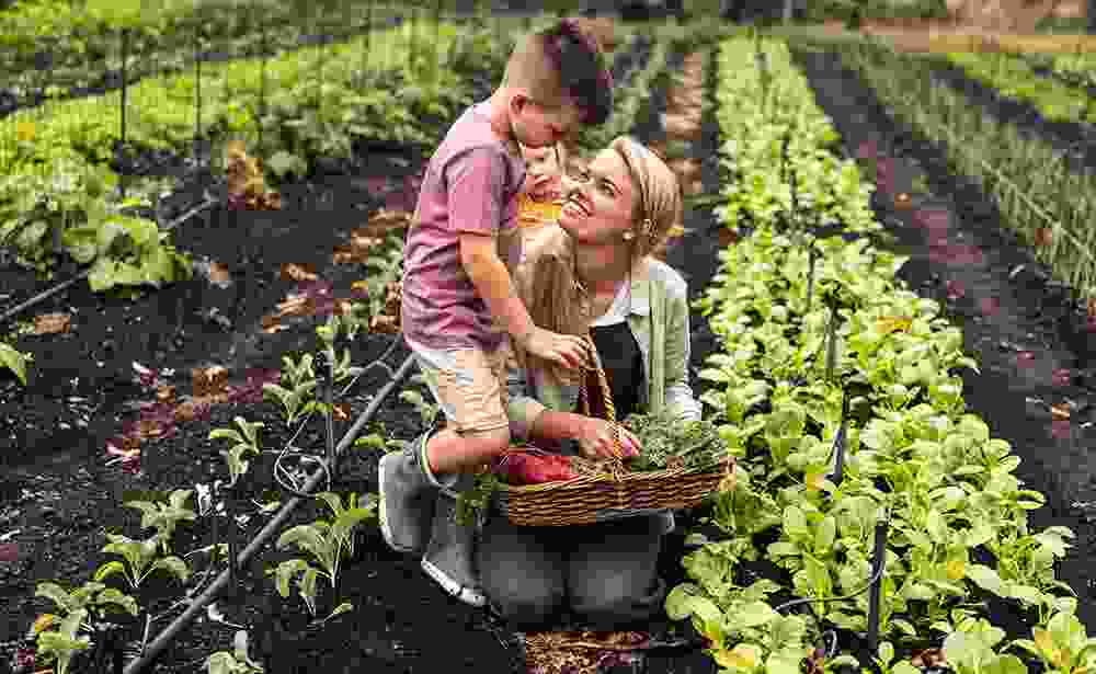 Herbal Medicine Haile - Natural Health