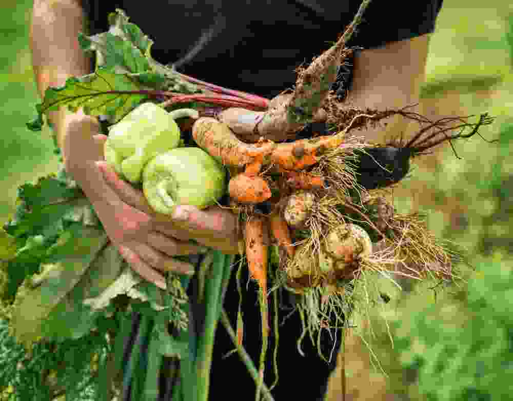 Herbal Medicine Haile - Natural Health